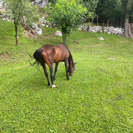 Holiday home Posestvo Tmzek Bovec